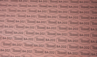 Tesni BA-202